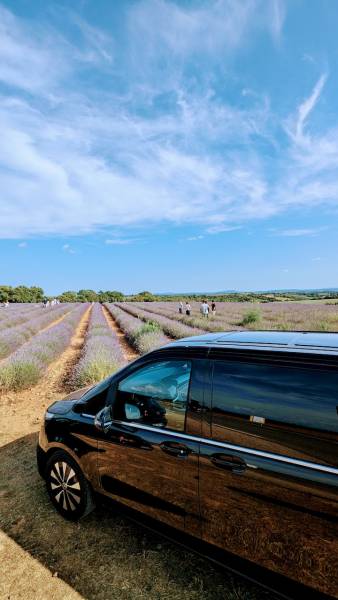 Van luxe en Provence et champs de Lavande du Luberon