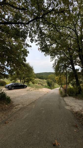Transfert dans un véhicule haut de gamme depuis l'aéroport de  Marseille