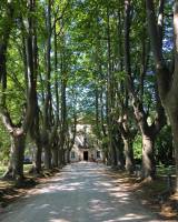 Voiture de luxe avec chauffeur privé de luxe pour aller au Château des Alpilles à Saint Rémy de Provence